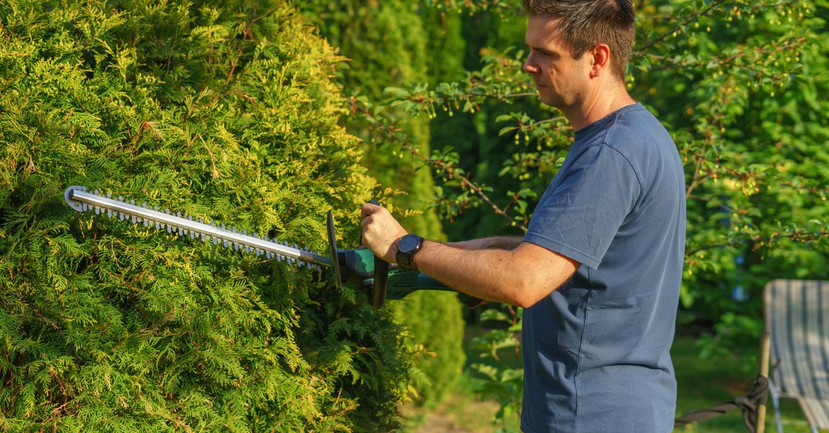 Man trimming a garden hedge with an electric trimmer